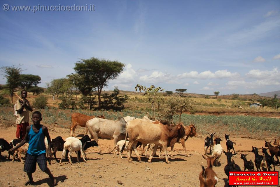 Ethiopia - 886.jpg